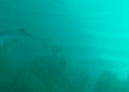 _9745884750